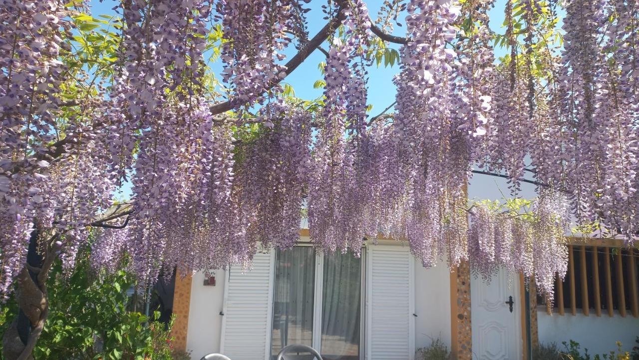 Casa Dos Gansos Villa Perais Eksteriør billede