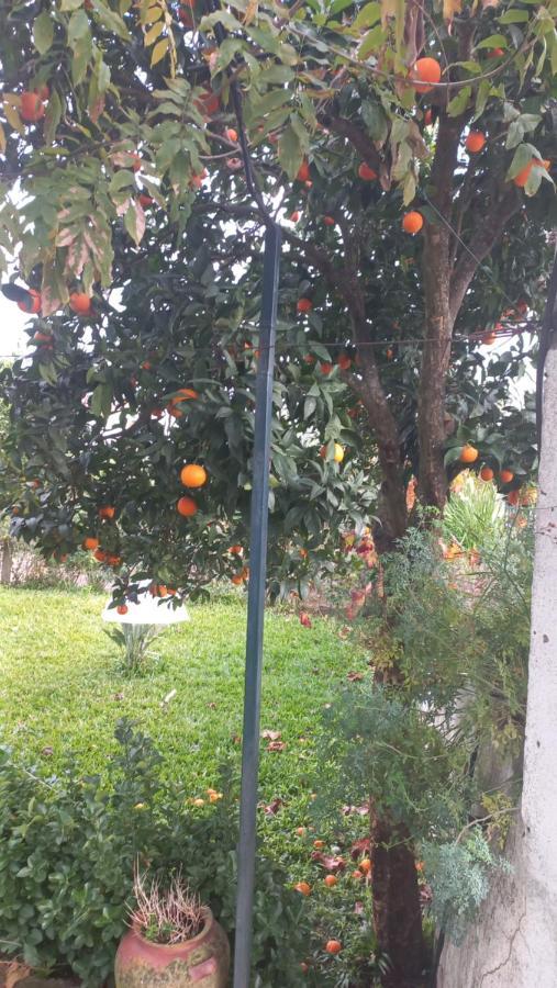 Casa Dos Gansos Villa Perais Eksteriør billede